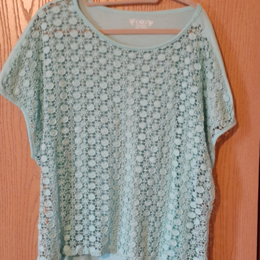 Mint/real Cato crop top.